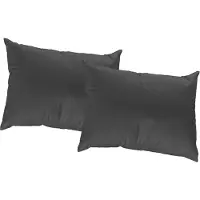 Wirth Dekokissen Gr. 1, schwarz (schwarz, unifarben), B:40cm L:40cm, Kunstfaser, Dekokissen_Sitzkissen_Kissenhüllen, Dekokissen, Kissenhülle ohne Füllung, 2 Stück