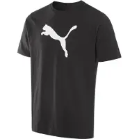 Puma Herren Teamrise Logo Jersey Baumwolle T-Shirts, Black-White, XL EU