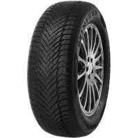 Minerva Kustannus Oy Wi car-tyres Frostrack HP ( 195/55 R20 95H )