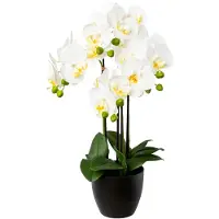 Creativ Green Kunstorchidee "Phalaenopsis im Resintopf" mit Real-Touch-Blüten