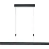 HELL LED-Hängeleuchte Delta, 100 cm, schwarz