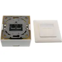 InLine Cat.6A Anschlussdose, AP/UP 2x RJ45 Buchse, RAL9010, weiß, waagerecht, 263 g, 85 mm, 85 mm, 60 mm, 206 g, 400 cm³