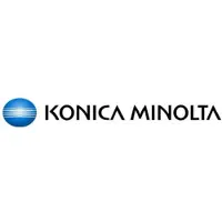 Minolta DV-313K - Schwarz - original