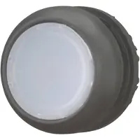 Eaton Leuchtdrucktaste, RMQ-Titan, flach, 216945