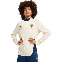 Puma FPF Training 1/4 Zip Top Jr sugared almond-persian blue (12) 152