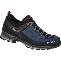 Salewa Schuhe Mtn Trainer 2 Gtx 613562490
