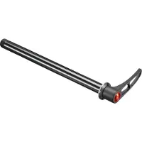 Dt Swiss Rws 10 Fb Asm Steckachse