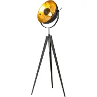 Otto Home Stehlampe "Elenoire", gold (schwarz, goldfarben), 1, Ø 40cm H: 148cm, Leuchten, Höhe verstellbar, schwarz / goldfarben, Metallschirm Ø 40 cm, Stehlampe