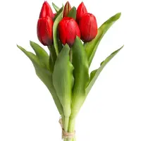 Botanic-Haus Kunstblume "Willa", rot, B:16cm H:32cm T:16cm, Kunststoff, Kunstpflanzen, Kunstblume, Tulpenbündel im 7er-Set
