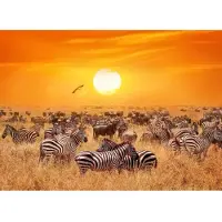 Papermoon Fototapete "African Antelopes and Zebras", bunt, B:2,5m L:1,86m, Vlies, Tapeten, Fototapete