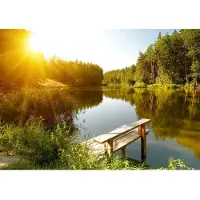 Papermoon Fototapete "Summer Forest Lake", bunt, B:2m L:1,49m, Vlies, Tapeten, Fototapete