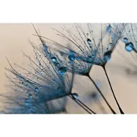 Papermoon Fototapete "Abstract Dandelions", bunt, B:3,5m L:2,6m, Vlies, Tapeten, Fototapete