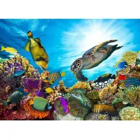 Papermoon Fototapete "Coral Reef Fiji", bunt, B:2m L:1,49m, Vlies, Tapeten, Fototapete