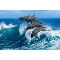 Papermoon Fototapete "Playful Dolphins", bunt, B:2m L:1,49m, Vlies, Tapeten, Fototapete