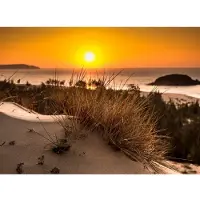 Papermoon Fototapete "Glowing Sun Bush View", bunt, B:2m L:1,49m, Vlies, Tapeten, Fototapete