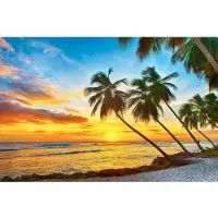Papermoon Fototapete "Barbados Palm Beach", bunt, B:2,5m L:1,86m, Vlies, Tapeten, Fototapete
