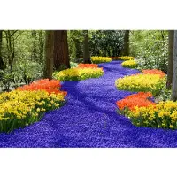 Papermoon Fototapete "Spring Flowers", bunt, B:3,5m L:2,6m, Vlies, Tapeten, Fototapete