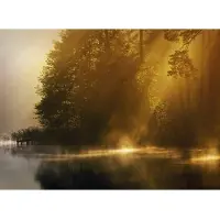 Papermoon Fototapete "Misty Early Morning", bunt, B:2,5m L:1,86m, Vlies, Tapeten, Fototapete