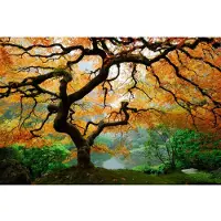 Papermoon Fototapete "Autumn Maple Tree", bunt, B:3m L:2,23m, Vlies, Tapeten, Fototapete