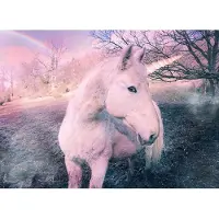 Papermoon Fototapete "Unicorn", bunt, B:3,5m L:2,6m, Vlies, Tapeten, Fototapete