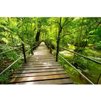 Papermoon Fototapete "Bridge Walk", bunt, B:2,5m L:1,86m, Vlies, Tapeten, Fototapete