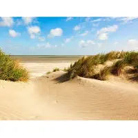 Papermoon Fototapete "Dunes Knokke-Heist", bunt, B:3m L:2,23m, Vlies, Tapeten, Fototapete