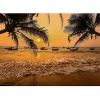 Papermoon Fototapete "Sri Lanka Palm Beach", bunt, B:2,5m L:1,86m, Vlies, Tapeten, Fototapete