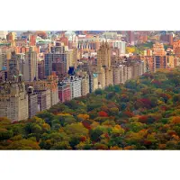 Papermoon Fototapete "Central Park", bunt, B:2m L:1,49m, Vlies, Tapeten, Fototapete