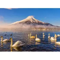 Papermoon Fototapete "Mount Fuji", bunt, B:2,5m L:1,86m, Vlies, Tapeten, Fototapete