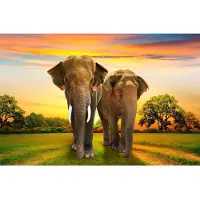 Papermoon Fototapete "Elephants Family", bunt, B:2,5m L:1,86m, Vlies, Tapeten, Fototapete