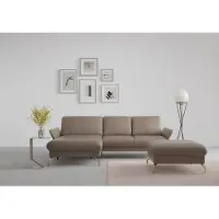 Sit&More Ecksofa SIT & MORE "Fashion L-Form", grau (taupe), B:253cm H:84cm T:165cm, Sofas, Ecksofa, wahlweise mit Kopfteilverstellung, Vorziehsitz, motorisch, Nickelfüße