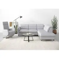 Sit&More Ecksofa SIT & MORE "Grenoble L-Form mit Federkern", silber, B:247cm H:85cm T:222cm, Sofas, Ecksofa, wahlweise mit Schlaffunktion, Bettkasten, Arm- und Kopfteilverstellung