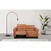 Otto Home 2-Sitzer "Carpari Lederoptik, 162 cm, man./elektr. Relaxfunktion", braun (cognac), B:162cm H:97cm T:100cm, Sofas, 2-Sitzer, (USB A/C), sowie Kopfteilverstellung