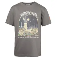 LEGO Harry Potter T-Shirt - Grau