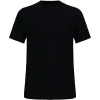 Odlo Merino 160 Kurzarm-t-shirt