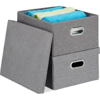Relaxdays Aufbewahrungsbox 2er Set, faltbare Ordnungsbox mit Deckel, 25 Liter je Stoffbox, HBT 20,5 x 34,5 x 42 cm, grau