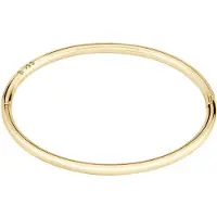 BOSS Armreif "LIVE", gold (gelbgoldfarben, weiß, weiß), Armbänder, Damen, 17cm, Edelstahl, Armreif, mit Preciosa Crystal