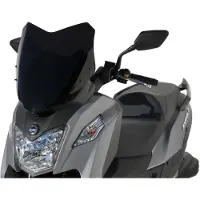 Ermax Rollerscheibe Sport JOYMAX Z 300 19-21