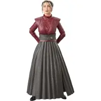 Hasbro Vintage-figurensammlung Die Schwarze Serie Morgan Elsbeth 15 Cm