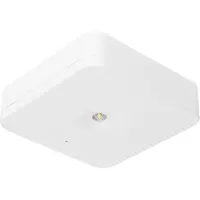Fischer Sicherheitsleuchte SLM-D31USC EB 1/3/8h 1W IP20