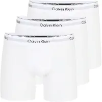 Calvin Klein Lv00nb4394 Boxershorts 3 Einheiten