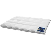 HANSKRUCHEN GmbH HANSKRUCHEN Royal Dauneneinziehdecke 200x200 cm Leicht waschbar Allergiker 100% Gänsedaunendecke atmungsaktiv Kassettendecke weiß