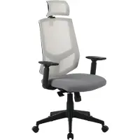 Inosign Chefsessel "Netti, Schreibtischstuhl, hochwertige ergonomische Ausstattung", grau, B:71cm H:107cm T:71cm, Stühle, Chefsessel, Kopfstütze, Armlehnen & Rückenlehne verstellbar