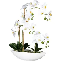Creativ Green Kunstorchidee "Phalaenopsis" im Keramikschiff