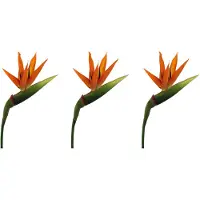 Creativ Green Kunstblume "Strelitzie"