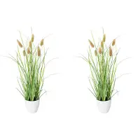 Creativ Green Kunstgras "Grasbusch Lagurus", grün, H:40cm Ø:12cm, Kunststoff, Kunstpflanzen, Kunstgras