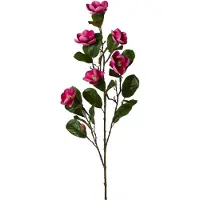 Creativ Green Kunstblume "Magnolienzweig", pink, H:120cm, Kunststoff, Kunstpflanzen, Kunstblume, mit zauberhaften Blüten