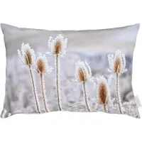 Apelt Dekokissen "5882" Gr. 1, grau (grau, natur, bedruckt), B:35cm H:5cm L:45cm, Baumwolle, Polyester, Dekokissen_Sitzkissen_Kissenhüllen, Dekokissen