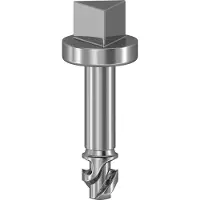 Schneider Electric NSYAEDSTSB DREIECK-SCHRAUBE SBM 3MM