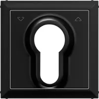 Legrand 765334 SEANO Abdeckung Jalousietaster mit DIN-Halbzylinder, Farbe: Schwarz lackiert